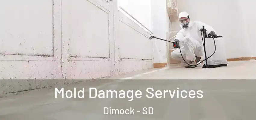 Mold Damage Services Dimock - SD