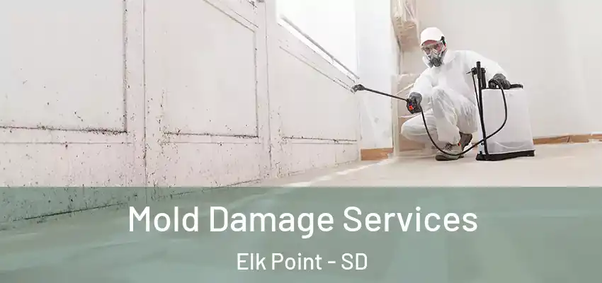  Mold Damage Services Elk Point - SD