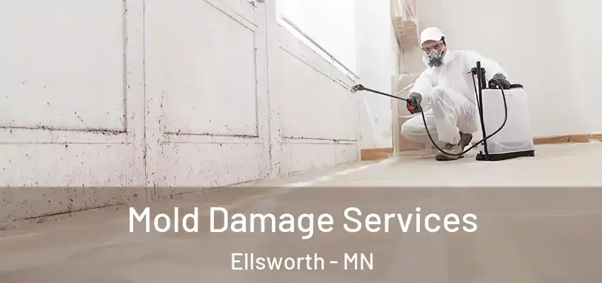 Mold Damage Services Ellsworth - MN