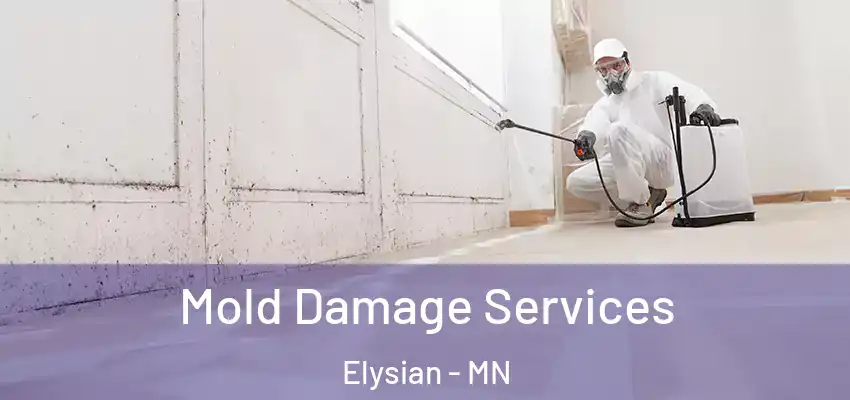  Mold Damage Services Elysian - MN