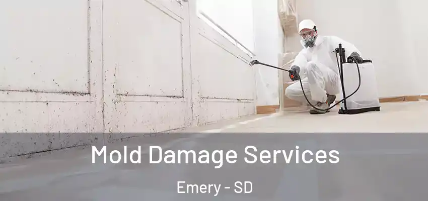 Mold Damage Services Emery - SD