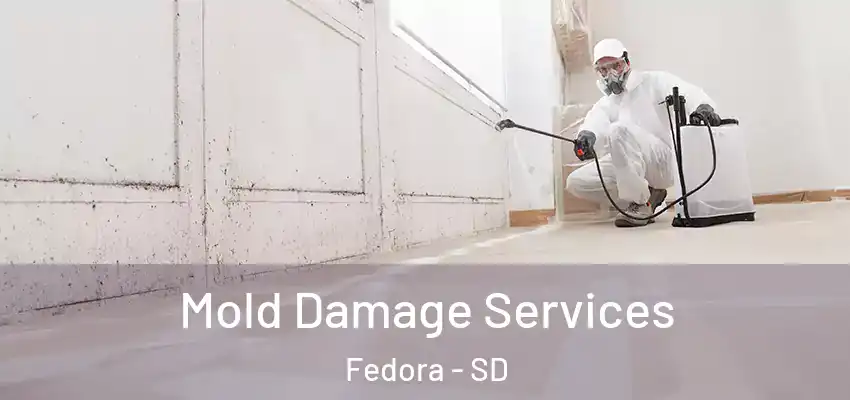 Mold Damage Services Fedora - SD