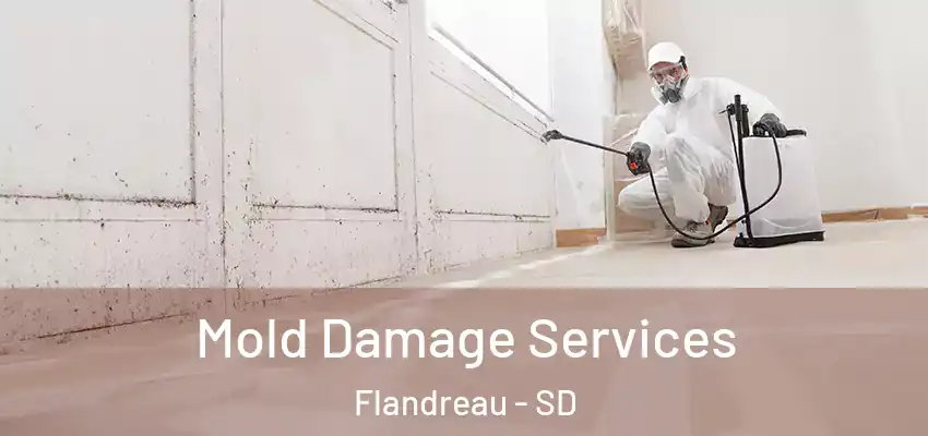 Mold Damage Services Flandreau - SD