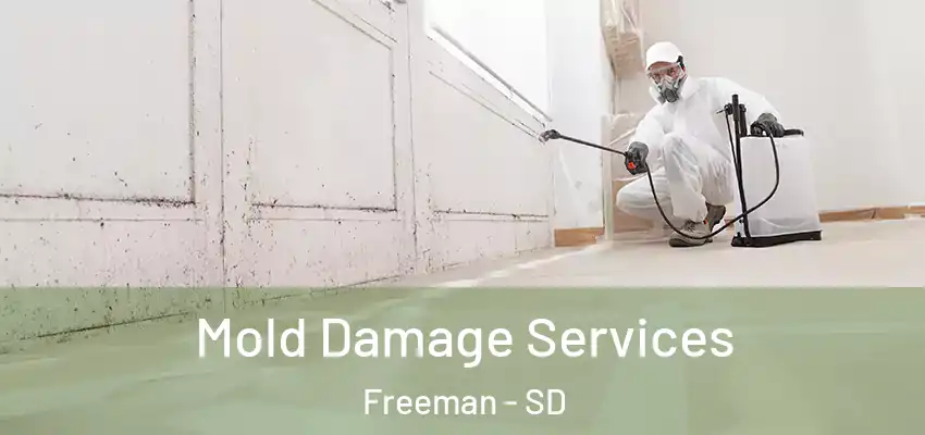  Mold Damage Services Freeman - SD