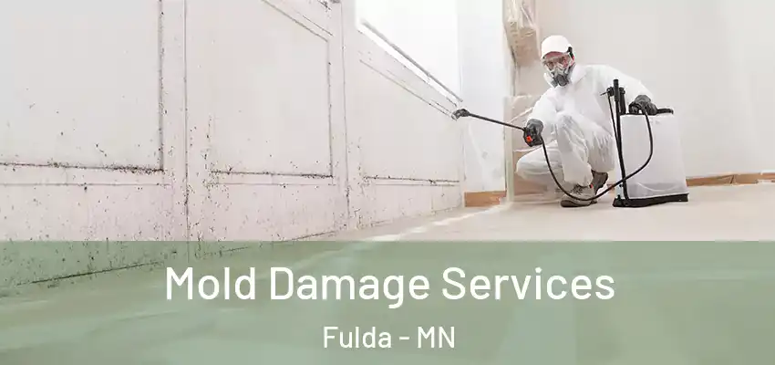  Mold Damage Services Fulda - MN