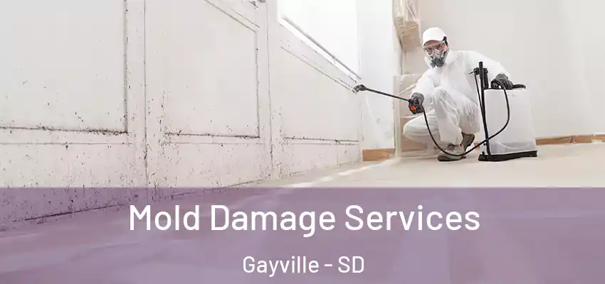 Mold Damage Services Gayville - SD