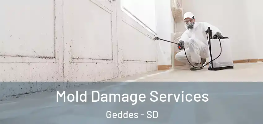 Mold Damage Services Geddes - SD