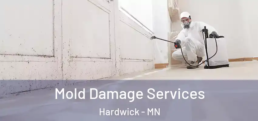 Mold Damage Services Hardwick - MN