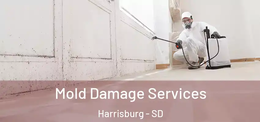 Mold Damage Services Harrisburg - SD