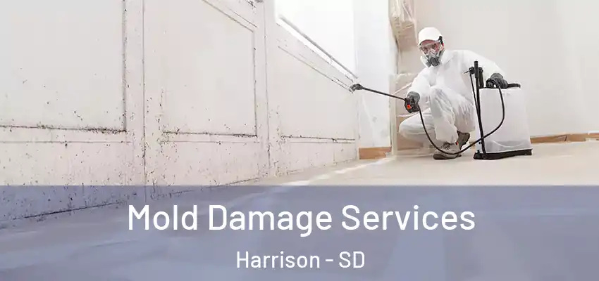 Mold Damage Services Harrison - SD