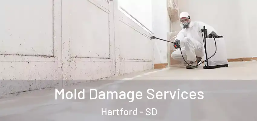 Mold Damage Services Hartford - SD