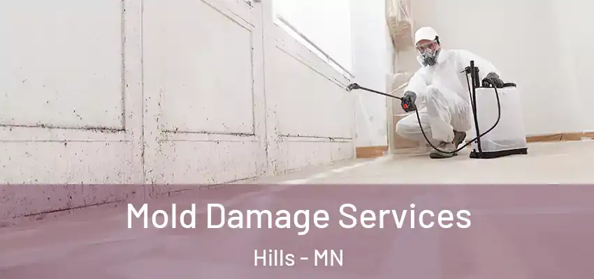  Mold Damage Services Hills - MN