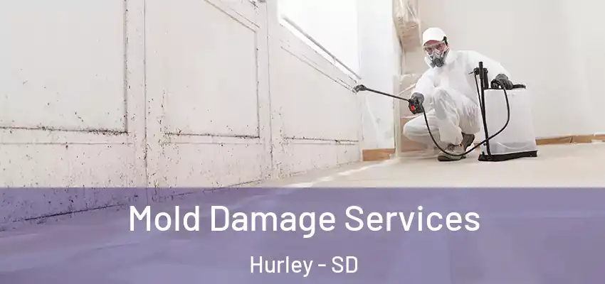 Mold Damage Services Hurley - SD