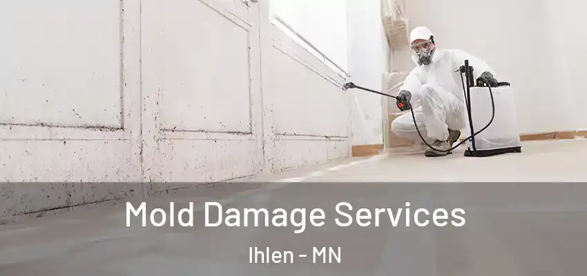 Mold Damage Services Ihlen - MN