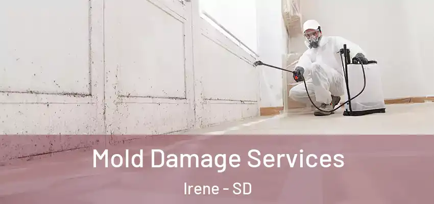 Mold Damage Services Irene - SD