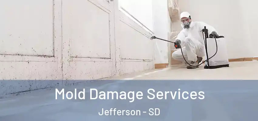 Mold Damage Services Jefferson - SD