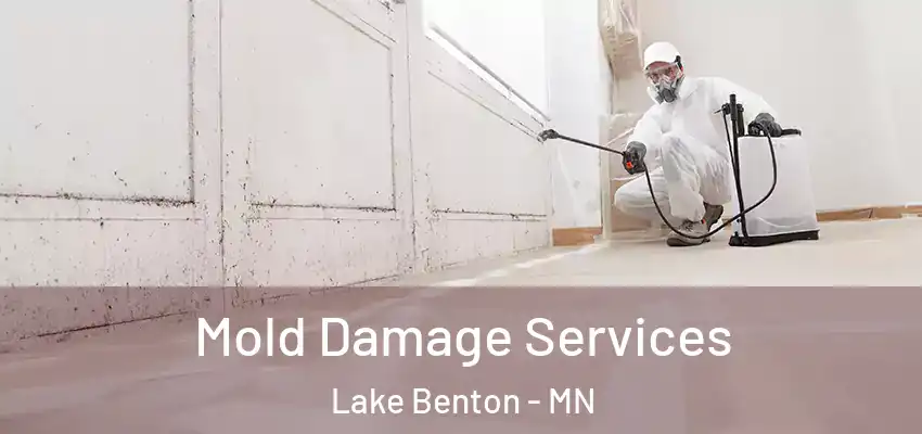  Mold Damage Services Lake Benton - MN