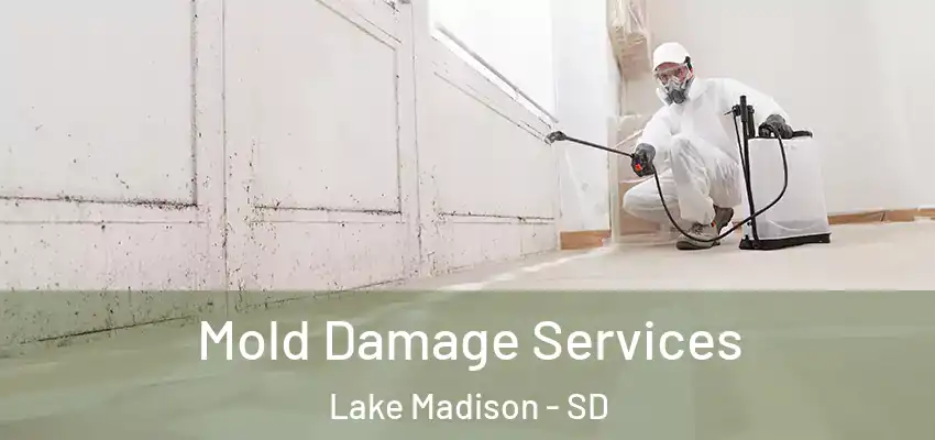  Mold Damage Services Lake Madison - SD
