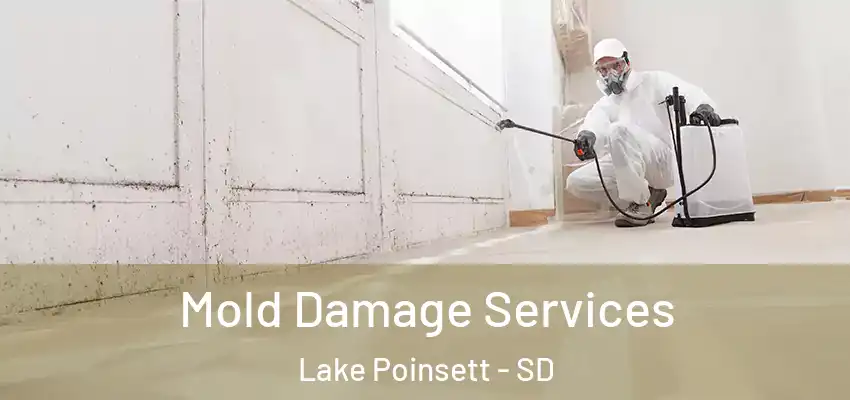  Mold Damage Services Lake Poinsett - SD