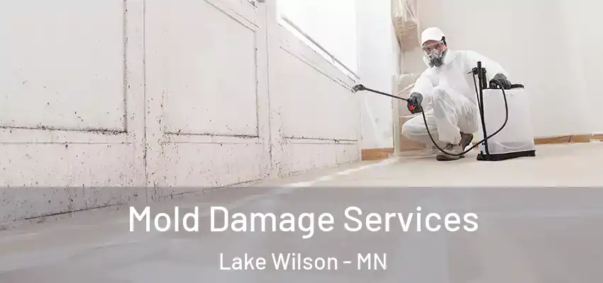  Mold Damage Services Lake Wilson - MN