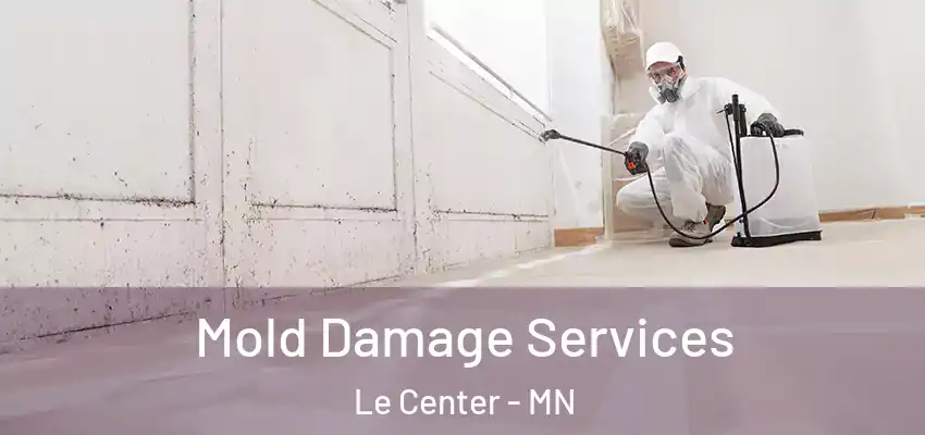 Mold Damage Services Le Center - MN