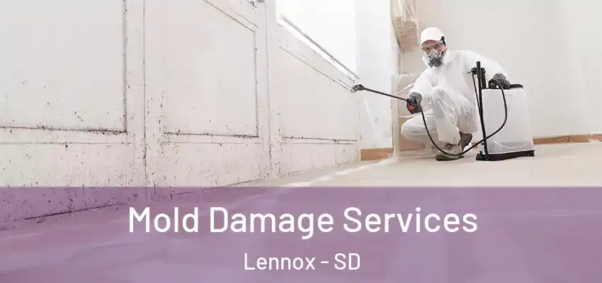 Mold Damage Services Lennox - SD
