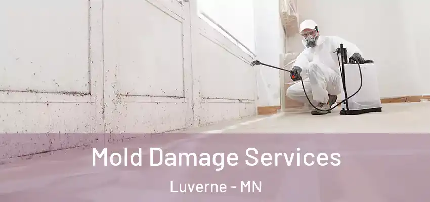 Mold Damage Services Luverne - MN