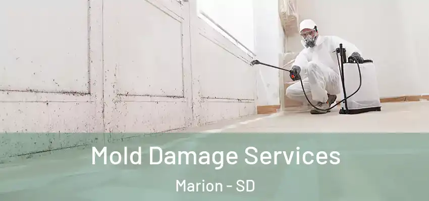 Mold Damage Services Marion - SD