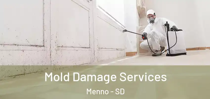 Mold Damage Services Menno - SD