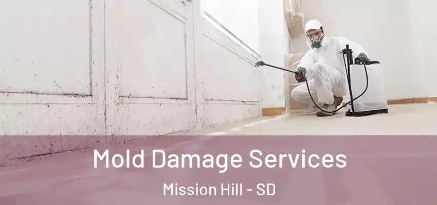 Mold Damage Services Mission Hill - SD