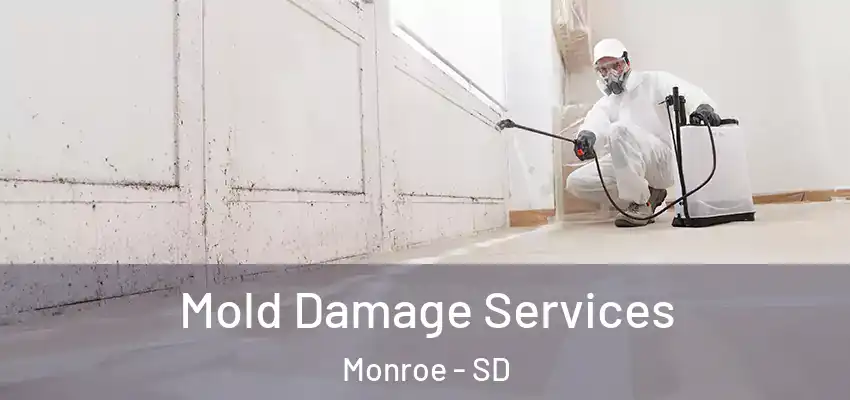 Mold Damage Services Monroe - SD