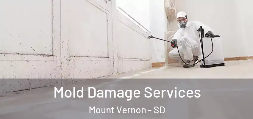 Mold Damage Services Mount Vernon - SD