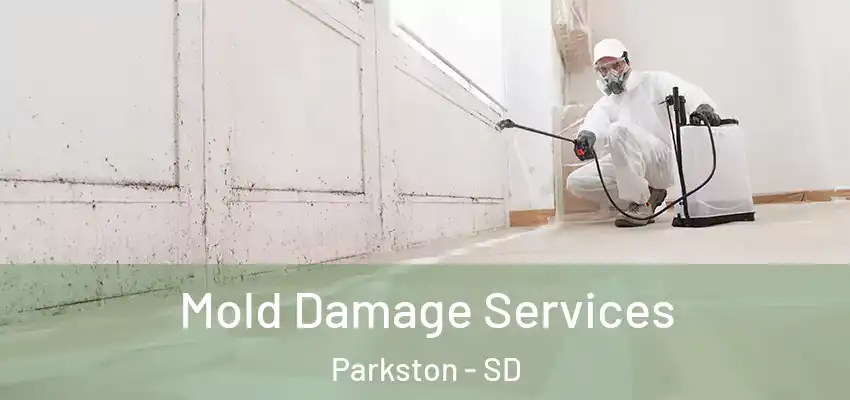 Mold Damage Services Parkston - SD