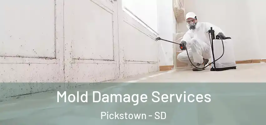 Mold Damage Services Pickstown - SD