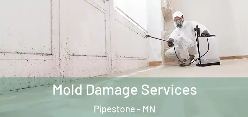 Mold Damage Services Pipestone - MN