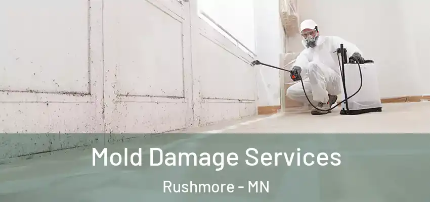 Mold Damage Services Rushmore - MN
