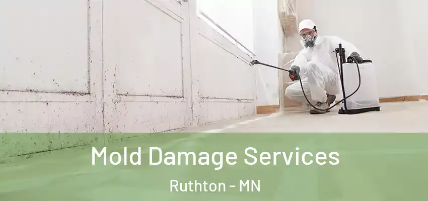  Mold Damage Services Ruthton - MN