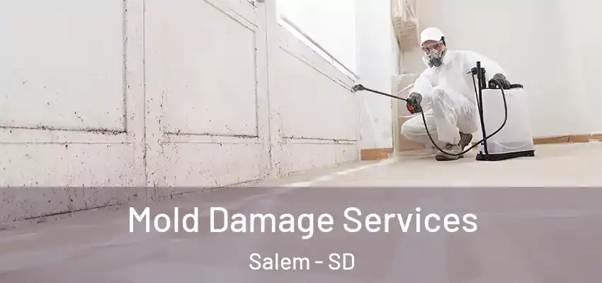 Mold Damage Services Salem - SD