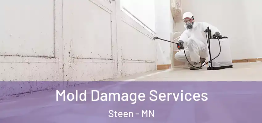  Mold Damage Services Steen - MN
