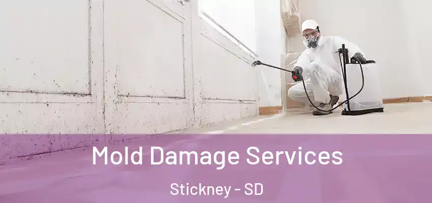 Mold Damage Services Stickney - SD