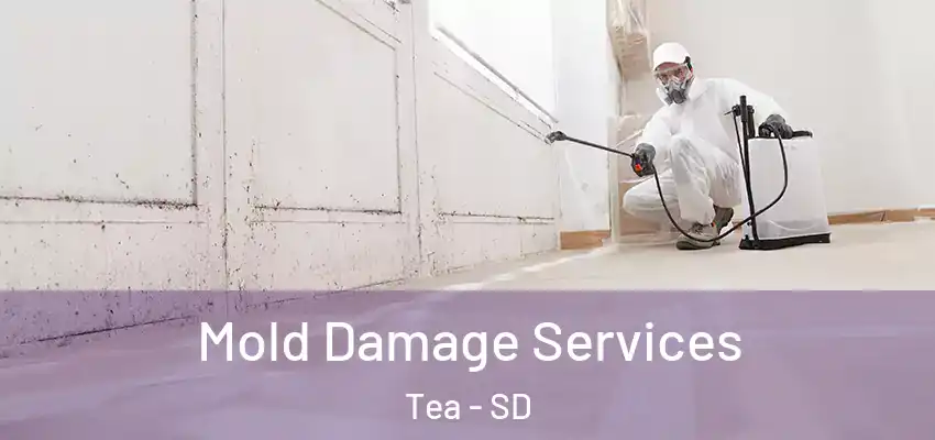 Mold Damage Services Tea - SD