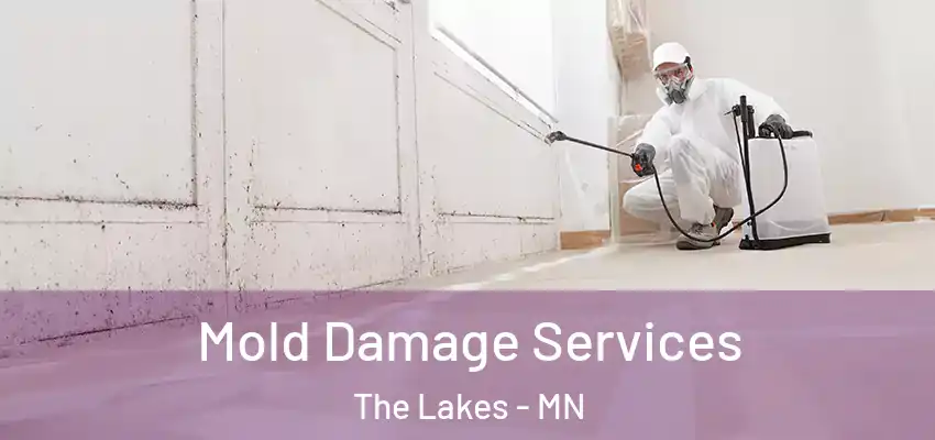  Mold Damage Services The Lakes - MN