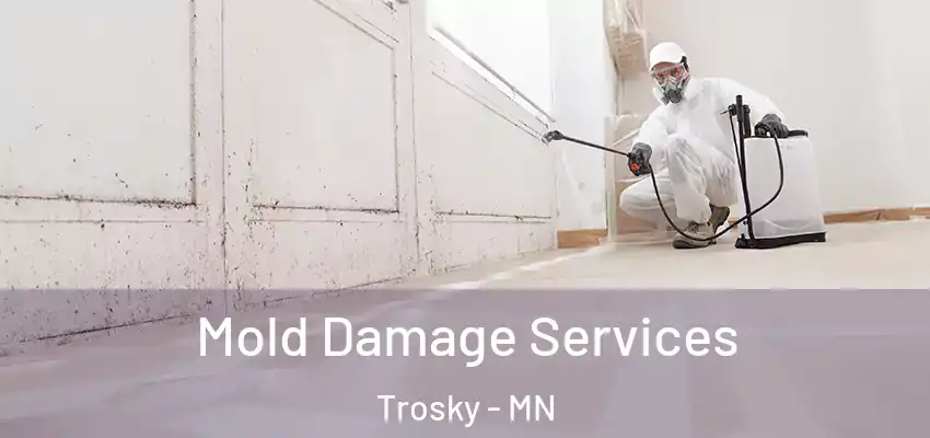 Mold Damage Services Trosky - MN