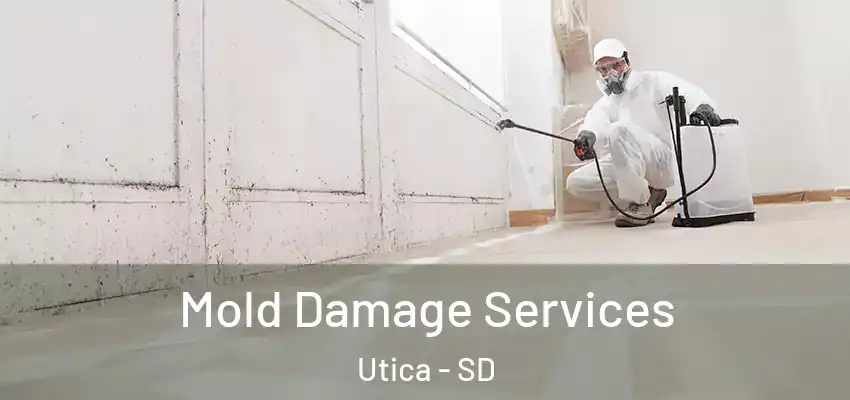 Mold Damage Services Utica - SD