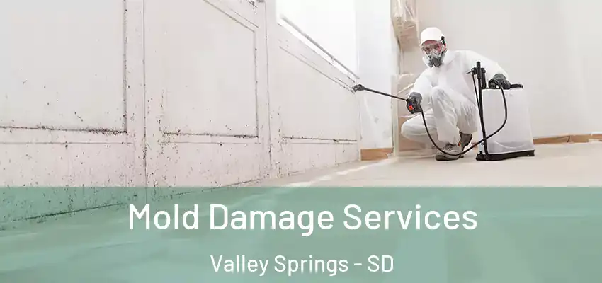 Mold Damage Services Valley Springs - SD