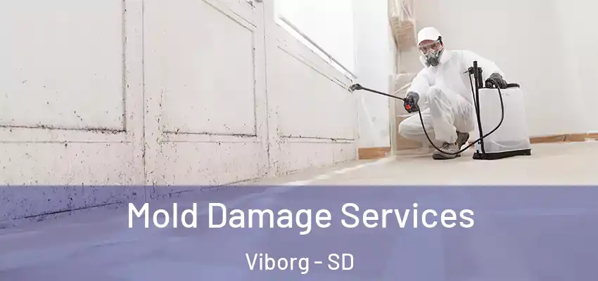 Mold Damage Services Viborg - SD