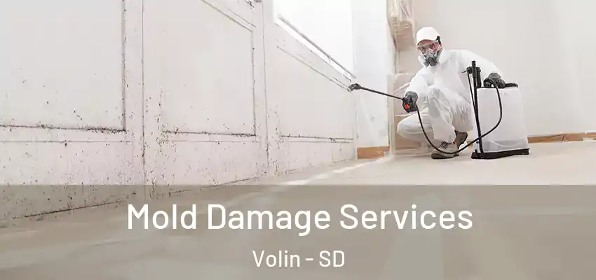 Mold Damage Services Volin - SD