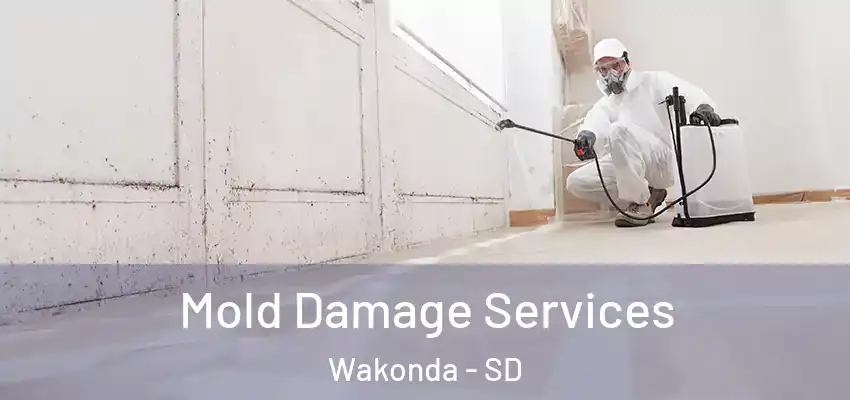Mold Damage Services Wakonda - SD