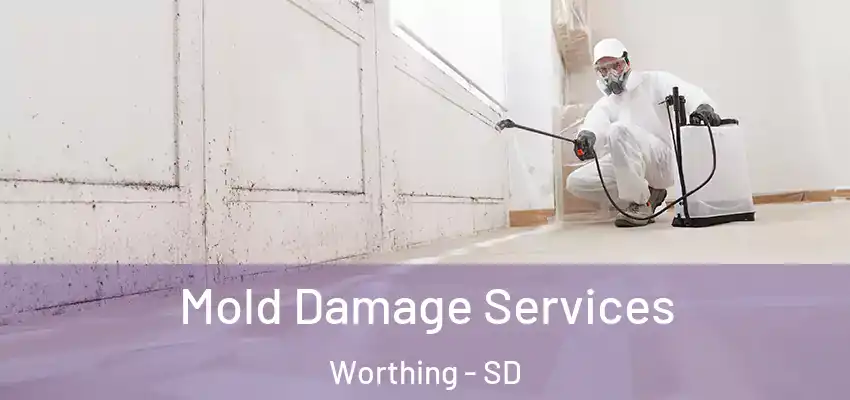  Mold Damage Services Worthing - SD
