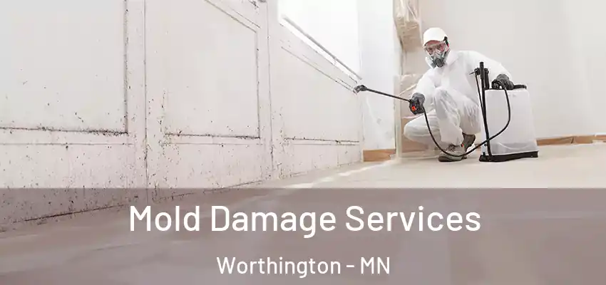  Mold Damage Services Worthington - MN